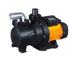 BOMBA GLONG Centrifuca 250S-10S 0.33 HP Para Piscina