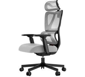 Silla de Escritorio Ajustable 360°/130° ProtoArc Ec100 Gris