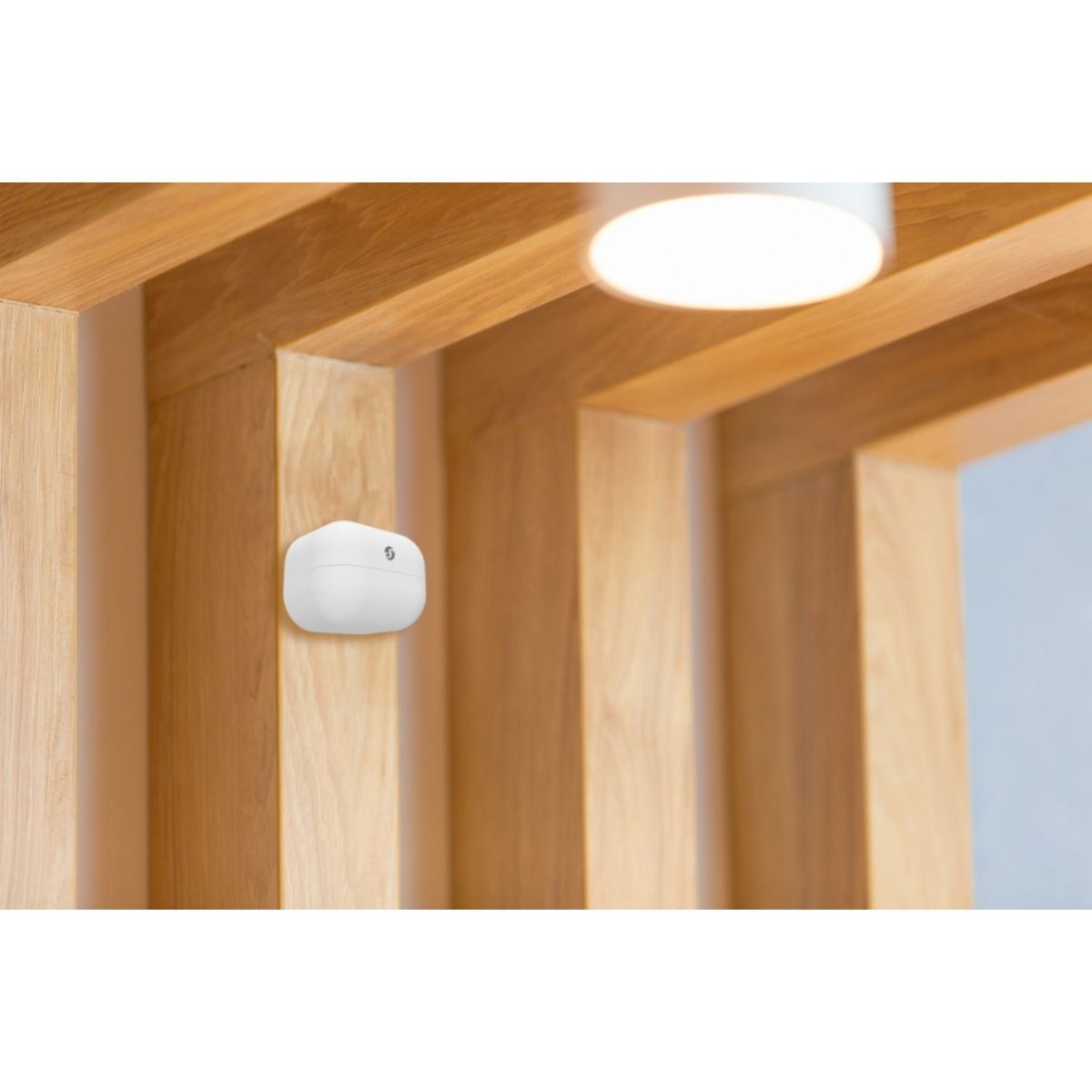 Sensor Shelly de movimiento Bluetooth - batería hasta 5 años Sensor Shelly de movimiento Bluetooth - batería hasta 5 años