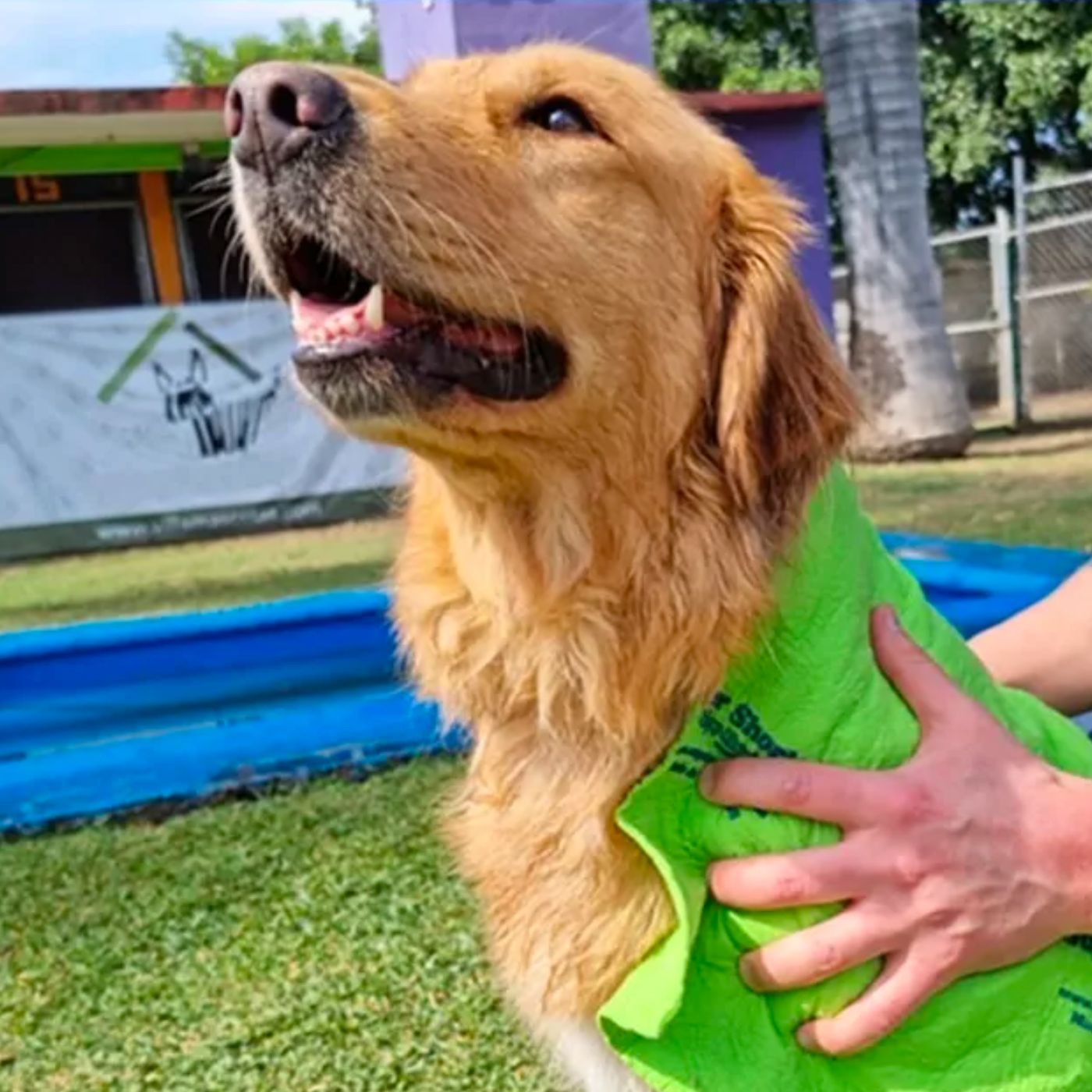 Super Shorby - Toalla Súper Absorbente - Hecho En Alemania