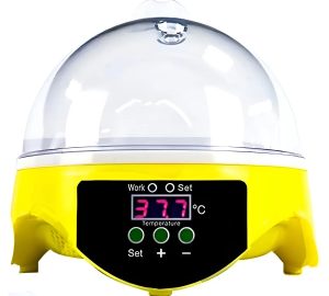Incubadora Eléctrica Digital Para 7 Huevos