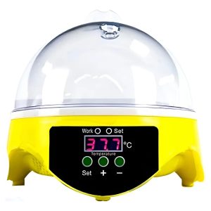 Incubadora Eléctrica Digital Para 7 Huevos