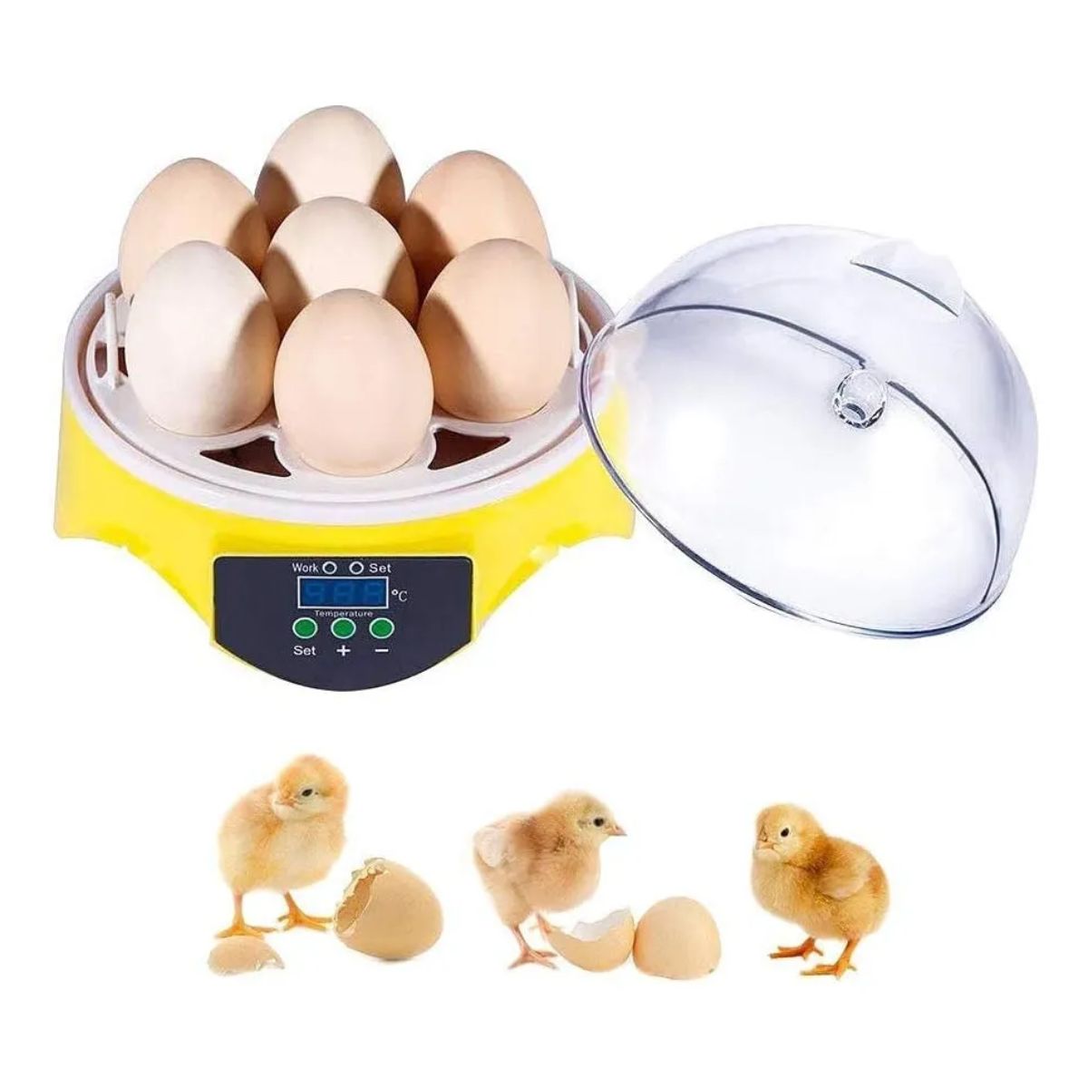 Incubadora Eléctrica Digital Para 7 Huevos Incubadora Eléctrica Digital Para 7 Huevos