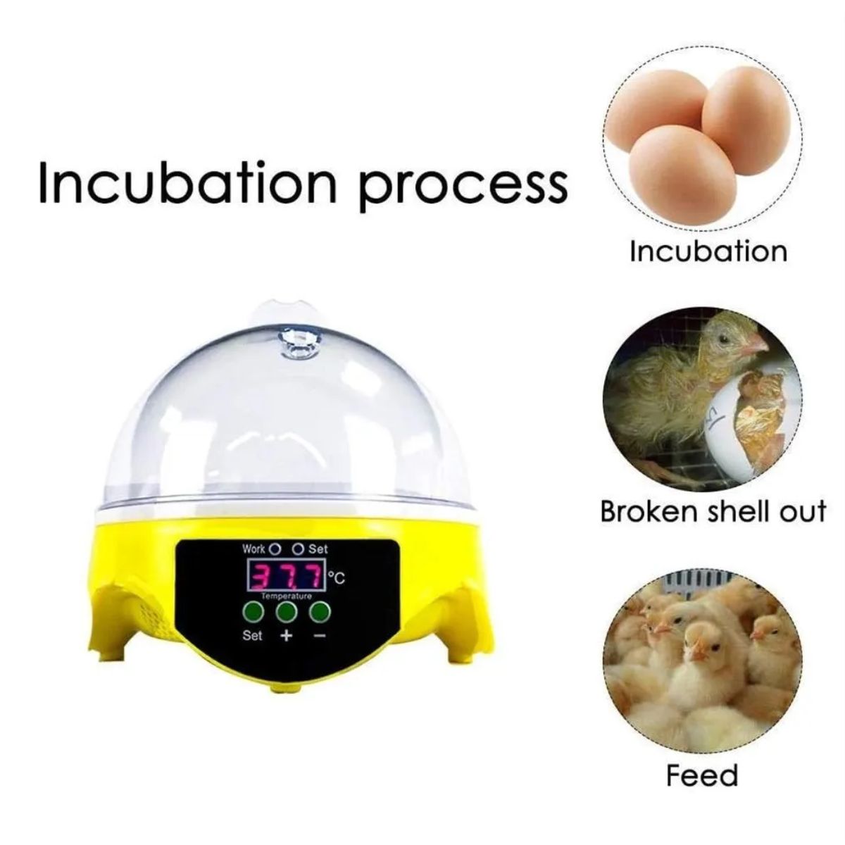 Incubadora Eléctrica Digital Para 7 Huevos Incubadora Eléctrica Digital Para 7 Huevos