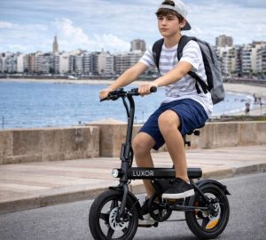 Bicicleta Eléctrica Luxor Eb9 Rodado 16'' 500w 120kg