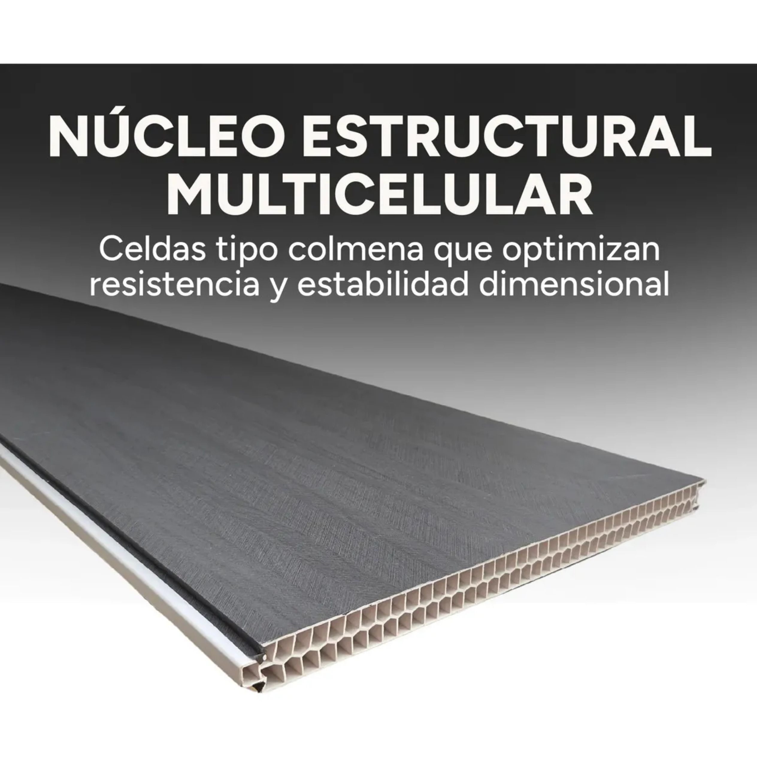 Panel Divisor Separador Ambiente 2,4X2,90m + 2 Riele 3m GRIS