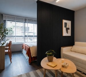Panel Divisor Separador Ambientes 2,4 X 2,90m NEGRO